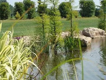Farm stay Agriturismo La Risarona Grumolo delle Abbadesse Italy